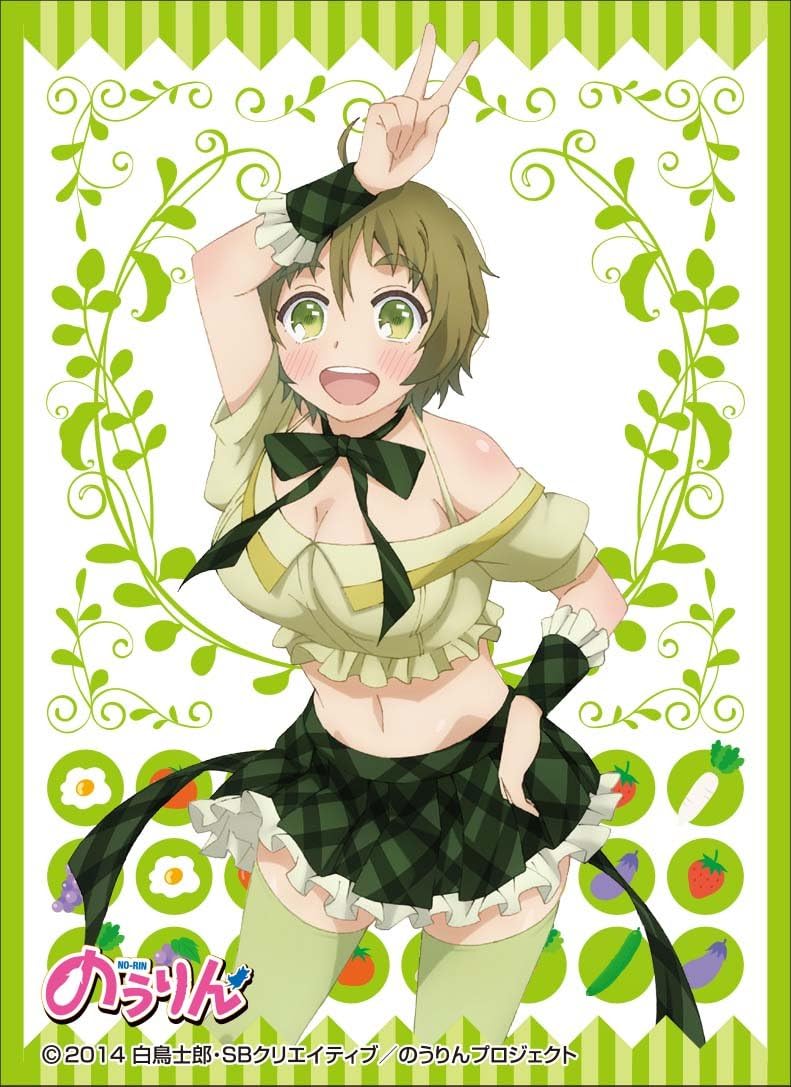Chara Sleeve Collection Mat Series "No-Rin (Minori Nakazawa)" No.MT049