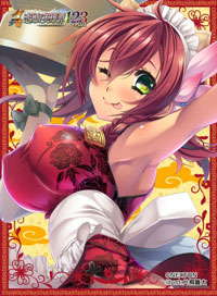 NEXTON Girls Sleeve Collection Vol.062 "Shin Koihime Eiyuutan (Rian)"