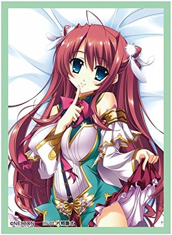 NEXTON Girls Sleeve Collection Vol.005 "Shin Koihime Musou (Ryuubi Touka)"