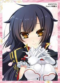 NEXTON Girls Sleeve Collection Vol.031 "Sengoku Koihime (Kuon)"